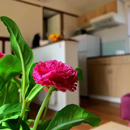 Mobile-home مكان تخييم Vale da Rosa
